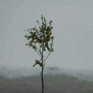 日韩免费AV网站无码老头
